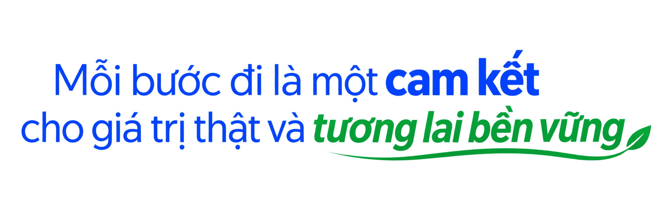 Partner 7